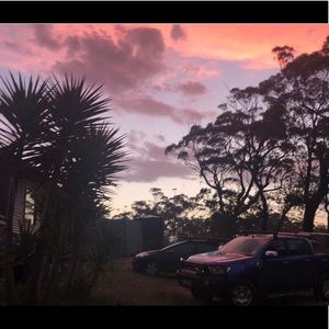 Meet your Posher, Phoebe